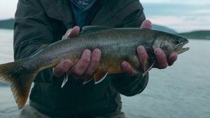 Ismeretlen vizeken Jeremy Wade-del 1. évad Ep.1 1. epizód