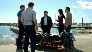 Hawaii Five-0 2. évad Ep.8 A gyógyulás