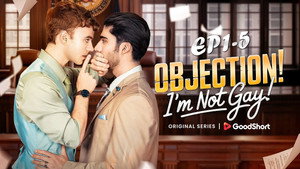 Objection! I'm Not Gay! kép