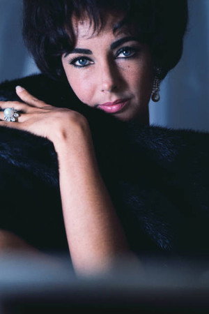Elizabeth Taylor profil kép
