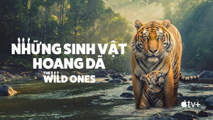 The Wild Ones kép