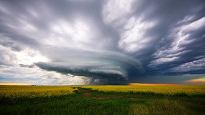 The Nature of Things 60. évad Ep.8 8. epizód