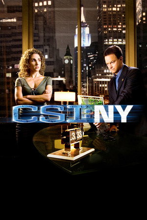 CSI: New York-i helyszínelők poszter