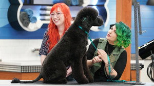 Pooch Perfect 1. évad Ep.1 1. epizód