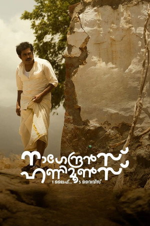 നാഗേന്ദ്രൻസ് ഹണിമൂൺസ് poszter