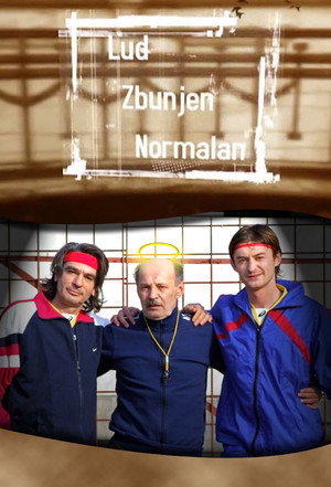 Lud, zbunjen, normalan poszter