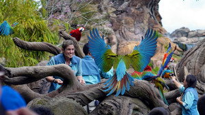 Magic of Disney's Animal Kingdom kép