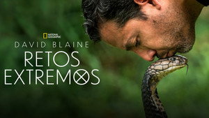 Ezt ne próbáld ki! - Halálos mutatványok David Blaine-nel kép