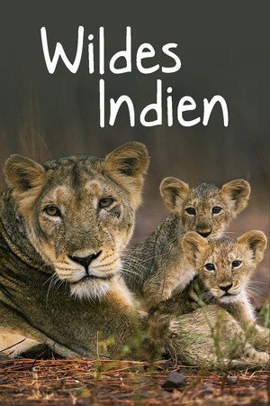 Destination Wild: India poszter