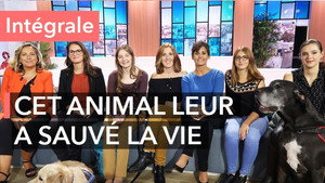Ça commence aujourd'hui 2. évad Ep.29 29. epizód