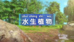 斑马百科 4. évad Ep.11 11. epizód