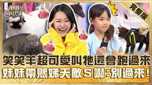 小姐不熙娣 1. évad Ep.656 656. epizód