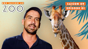 Une saison au zoo 9. évad Ep.1 1. epizód