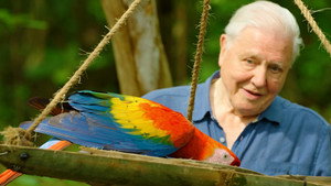 David Attenborough: Az élet színei kép