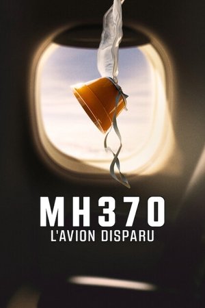 MH370: Az eltűnt repülőgép poszter