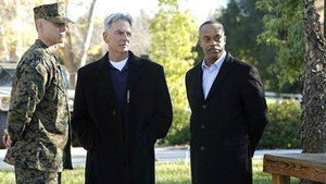 NCIS: Tengerészeti helyszínelők 10. évad Ep.15 Kanári