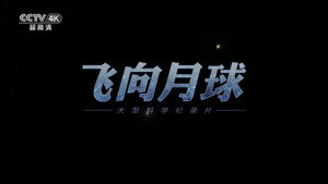 飞向月球 kép