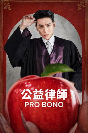 Pro Bono poszter
