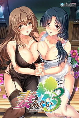 妻みぐい3 THE ANIMATION 2. évad (2016-09-30) poszter