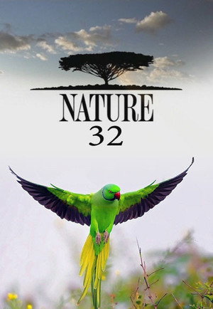 Nature 32. évad (2013-09-04) poszter