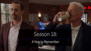 NCIS: Tengerészeti helyszínelők Speciális epizódok Ep.110 110. epizód