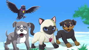Cuccioli cerca amici - Nel regno di Pocketville kép