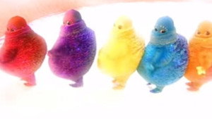 Boohbah kép