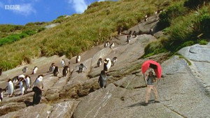 Andy's Wild Adventures 1. évad Ep.20 20. epizód