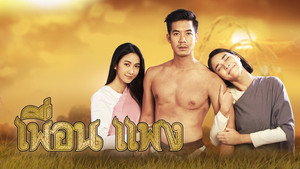เพื่อนแพง kép