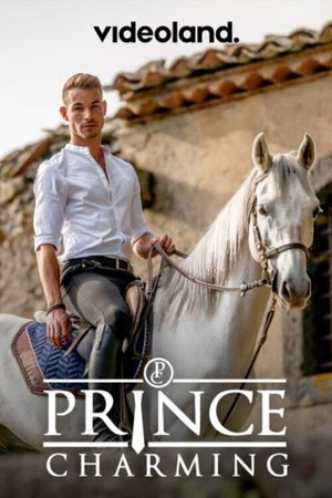 Prince Charming 1. évad (2020-12-16) poszter