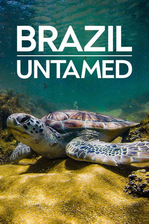 Szelidítetlen Brazília poszter