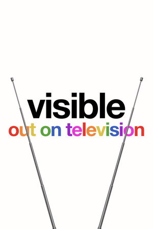 Visible: Out on Television poszter