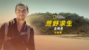 Bear Grylls - Sztárok a vadonban: A kihívás kép