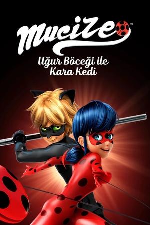 Miraculous Katicabogár és Fekete Macska kalandjai poszter
