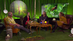 Studio Natur kép