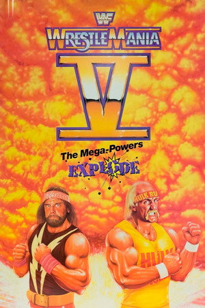 WWE Pay Per View 5. évad (1989-01-15) poszter