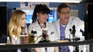 NCIS: Tengerészeti helyszínelők 15. évad Ep.21 Egy lépés előre