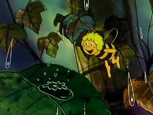 Maja, a méhecske 1. évad Ep.9 9. epizód