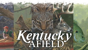 Kentucky Afield kép