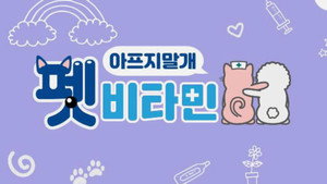 펫 비타민 kép