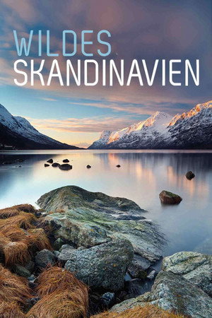 Wildes Skandinavien poszter