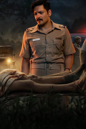 राख poszter