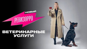 Новый Ревизорро 1. évad Ep.5 5. epizód