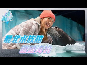 北極潮什麼 1. évad Ep.1 1. epizód