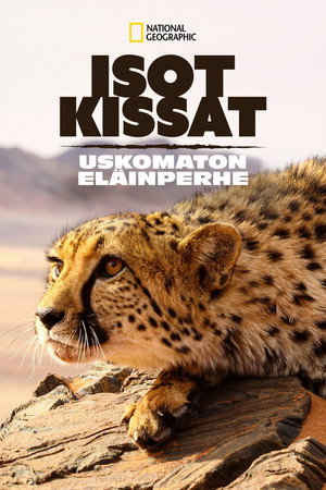Big Cats: An Amazing Animal Family poszter