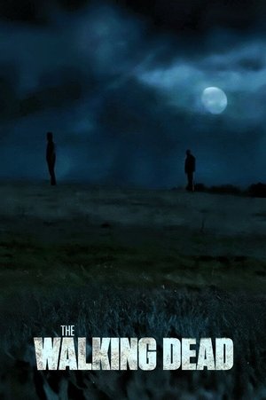 The Walking Dead poszter