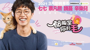 都嘛是你的毛 kép