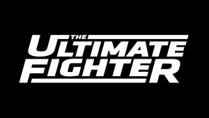 The Ultimate Fighter kép
