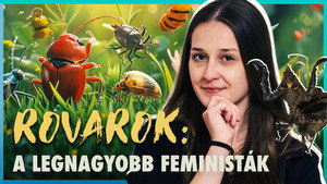 Világjegy 2. évad Ep.3 ŐK az IGAZI HÁTTÉRHATALOM