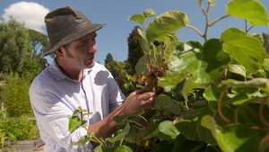 Gardening Australia 32. évad Ep.6 6. epizód
